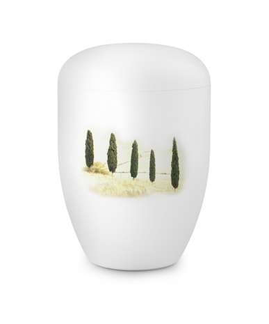Biologisch afbreekbare urn wit Toscana