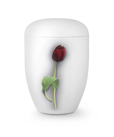 Biologisch afbreekbare urn wit tulp