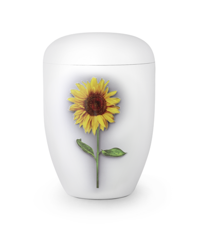 Biologisch afbreekbare urn wit zonnebloem