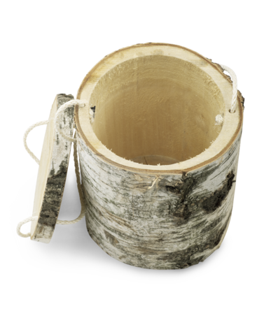 Boom urn berkenhout zakje met elzenzaden bovenaknt
