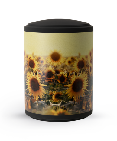 Biologisch afbreekbare urn zonnebloemen veld