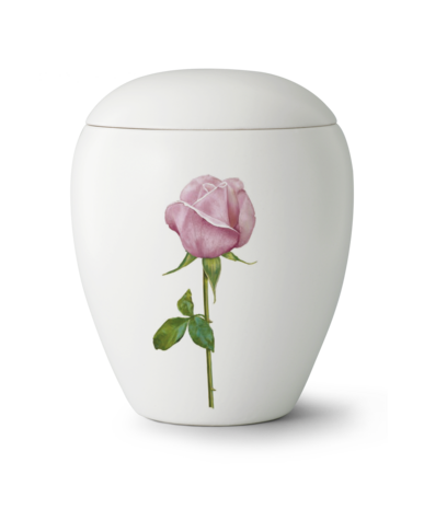 Keramische urn wit met roze roos